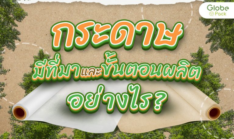 กระดาษมีที่มาและขั้นตอนการผลิตอย่างไร